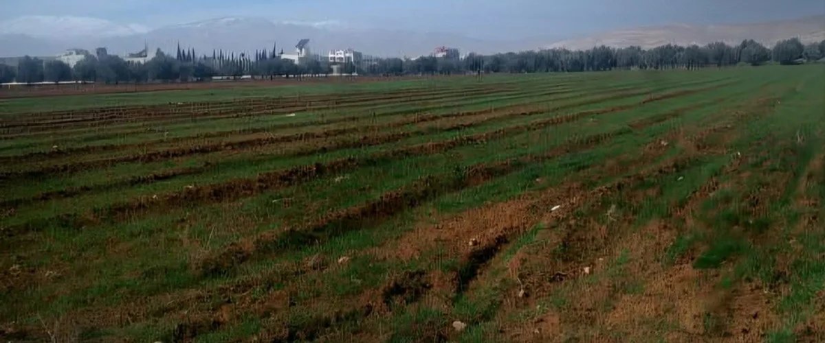 Mzara Abou Jhad - Rif Dimashq