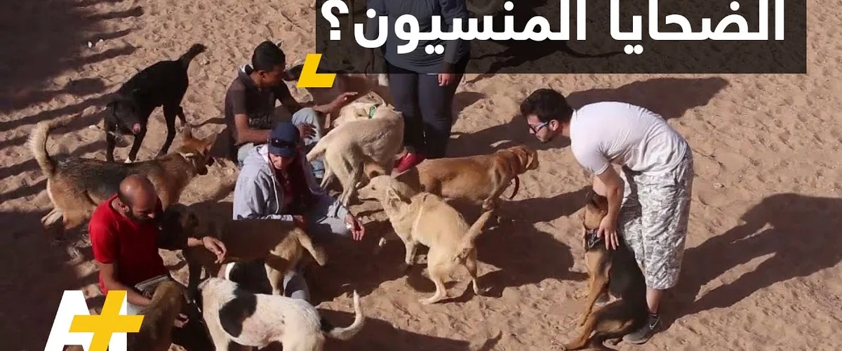 الجمعية السورية لانقاذ الحيوانات - ريف دمشق