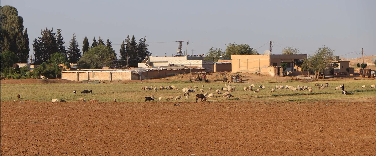 Arady Adla Al-Zraaya - Al-Hasakah