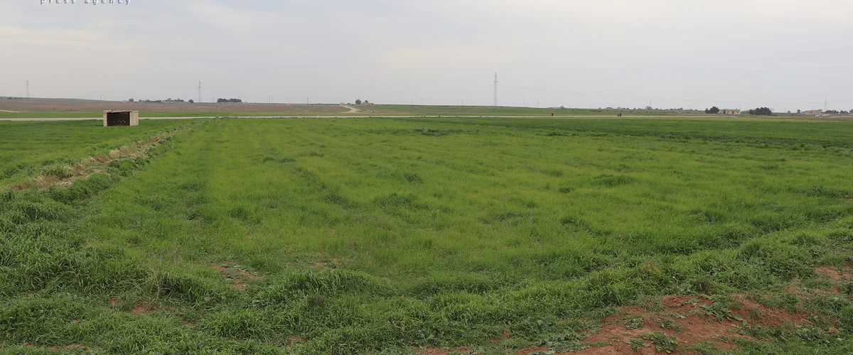 Mzraa Myran Al-Syahya - Al-Hasakah