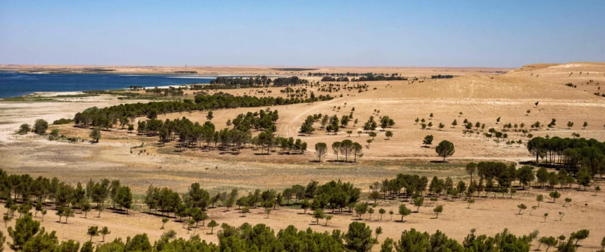 Mzraa Al-Krmy - Al-Hasakah