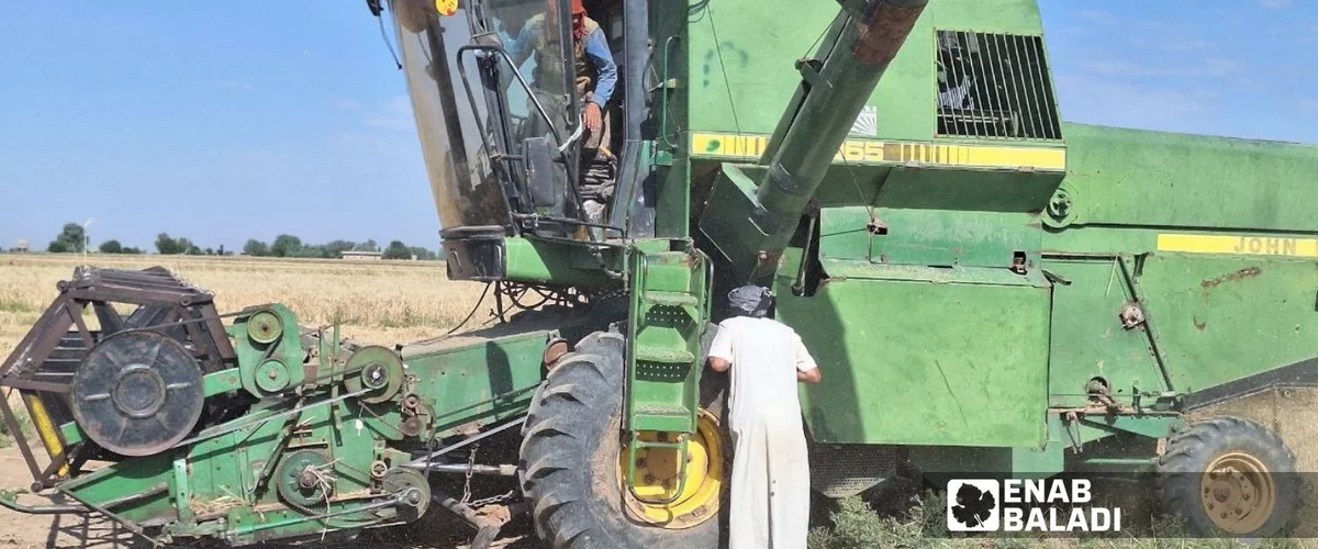 Mzraa Ahmd Al-Khlf Al-Hmoud Al-Aoud - Al-Hasakah