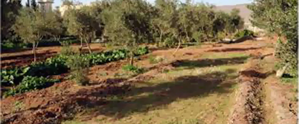 مزرعة عبد اللطيف الخطيب - ريف دمشق