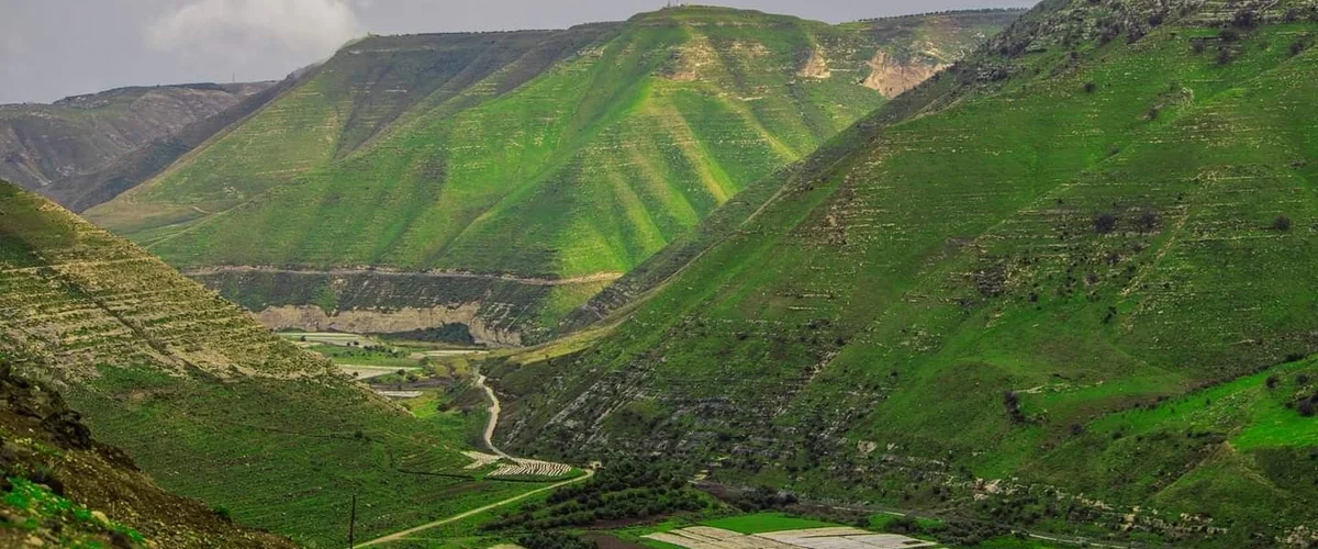 Mzraa Al-Mrhoum Khald Shtywy Tama - Al-Qunaytirah