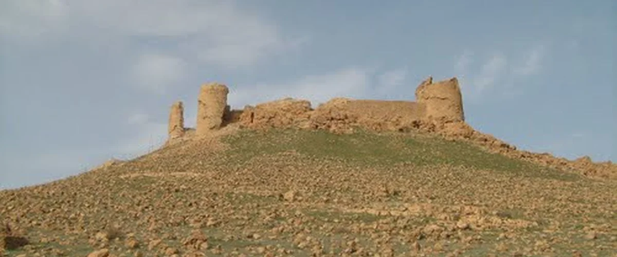 غوفر الوثير - الحسكة