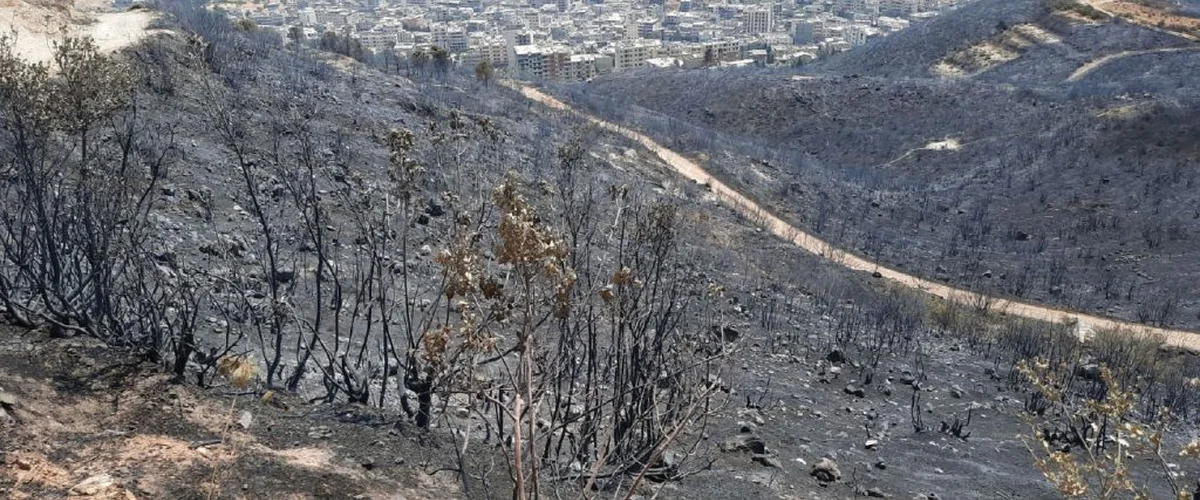 Mzara Aal Khyla - Latakia