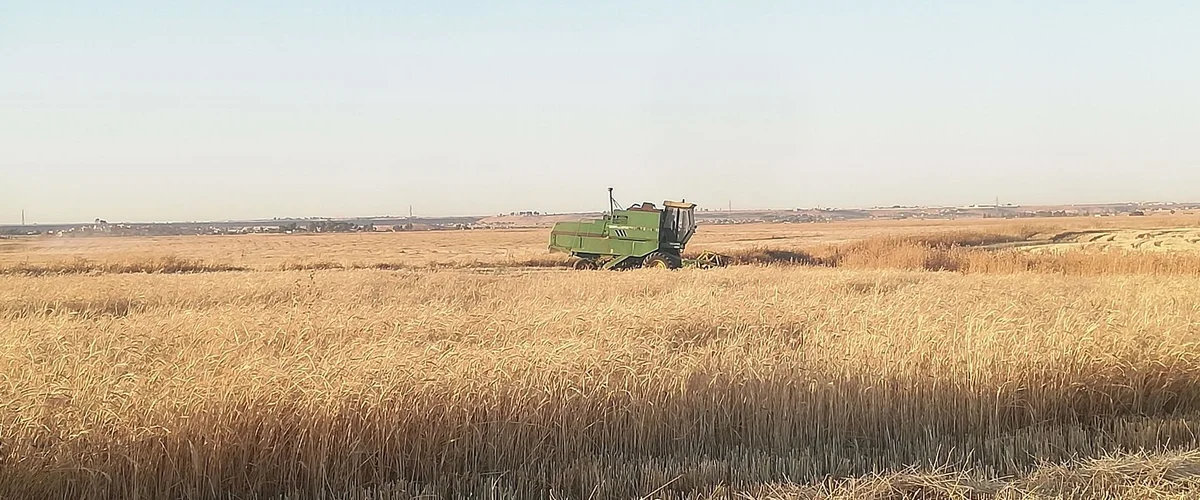 مركز ومشتل جنو الزراعي - الحسكة