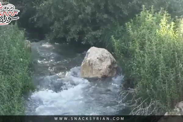 سناك كويك بايت