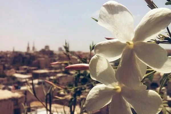 Mzara Yasmyn Al-Sham