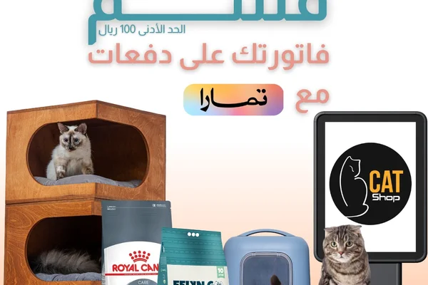 لوسي كات شوب للقطط