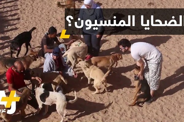 الجمعية السورية لانقاذ الحيوانات