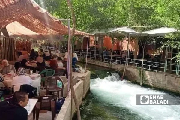 مطعم ومقهى فيشوس