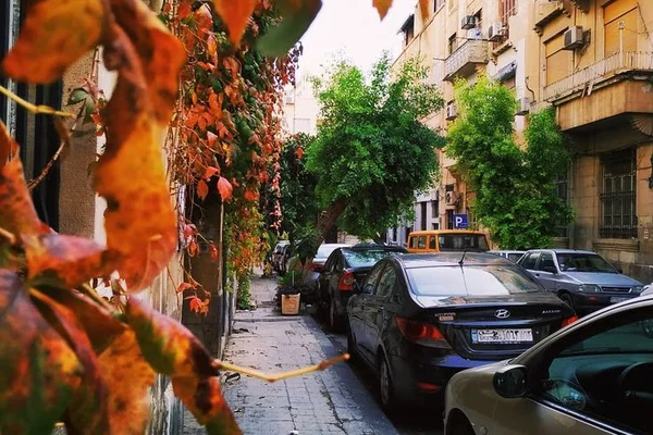 عرق الياسمين