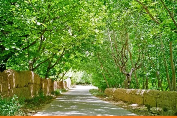 Mntzh Al-Sfsaf