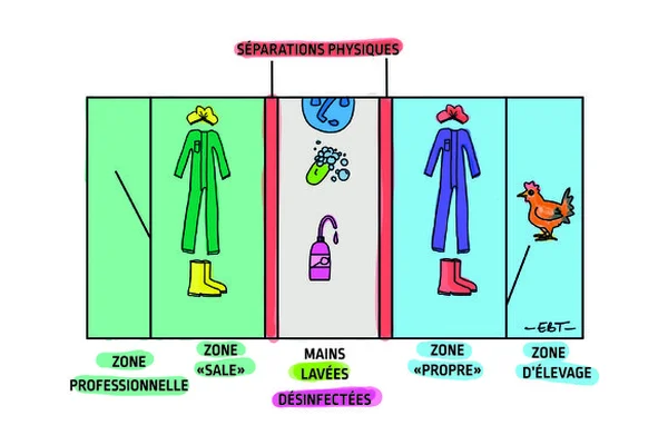 Amigos