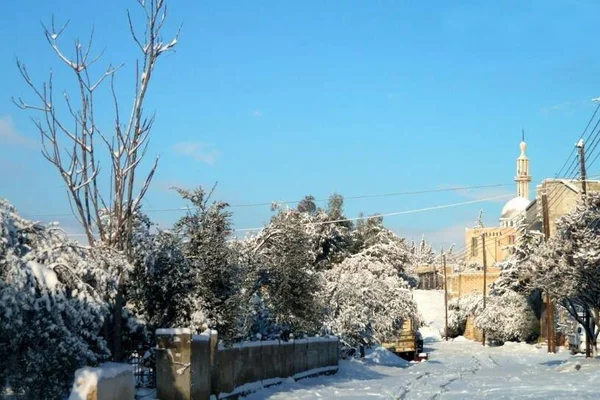 مركز تعليمي ستوري كورنر
