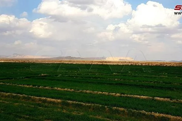 Mzraa Ahmd Al-Khlf Al-Hmoud Al-Aoud