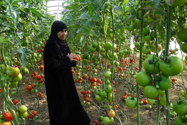مزرعة أبو أسامة