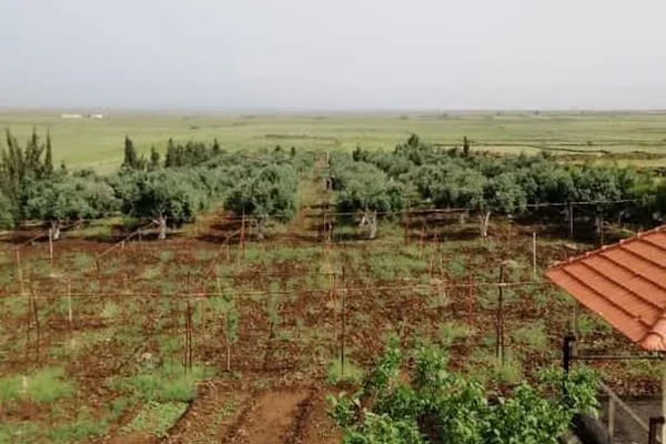 Mzraa Al-Haj Khald Al-Bytar