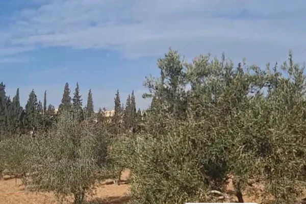 Mzraa Al-Haj Khald Al-Bytar