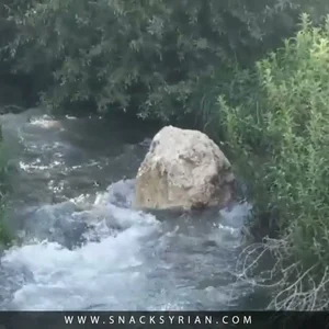 سناك كويك بايت