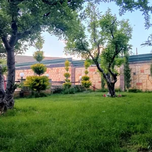 Mzraa Al-Khald Lliyjar
