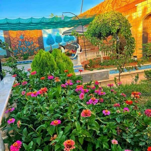 مزرعة عدي