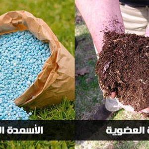 Msna Smad Shl Al-Azrq Llasmdh Al-Adouyh