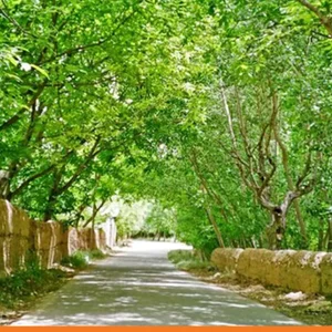 Mntzh Al-Sfsaf