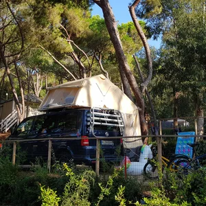 EBLA sox