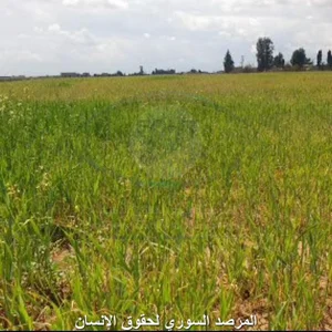 Arady Adla Al-Zraaya
