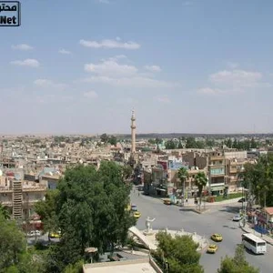 مطعم ومقهى مالفا نيت