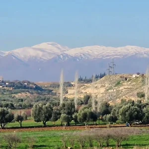 Al-Hjy Abou Zyad Souas
