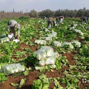 مركز الزراعة الحدديثة
