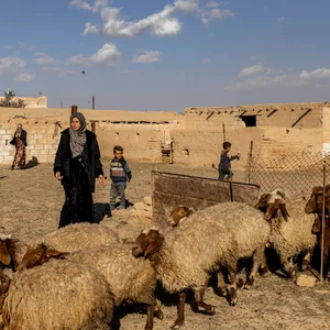 مجموعة الملهم التجاريه