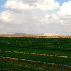 Mzraa Ahmd Al-Khlf Al-Hmoud Al-Aoud