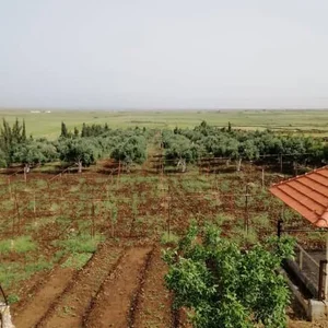 Mzraa Al-Haj Khald Al-Bytar